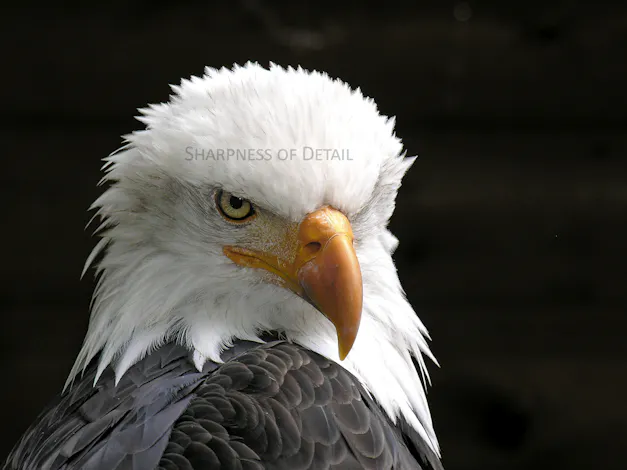 InfraTec infrared camera ImageIR 9400 - Picture credits: © Rudolf_Lettner / Fotolia.com