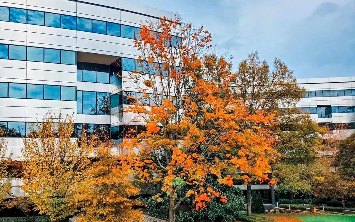 InfraTec Office Atlante