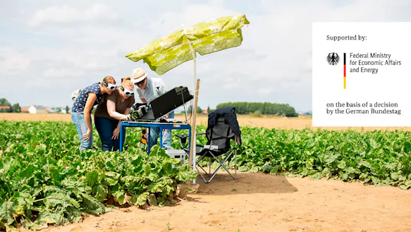 Data Fusion in Plant Phenotyping for Cercospora Detection in Sugarbeets