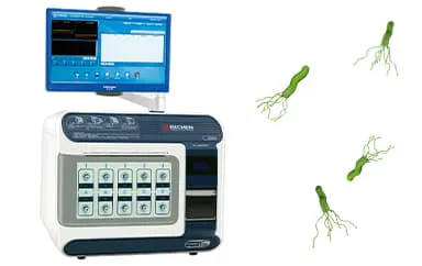 InfraTec Sensor Division - Helicobacter - Picture credits: © iStock.com / 482337236