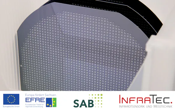 Sensor division wafer