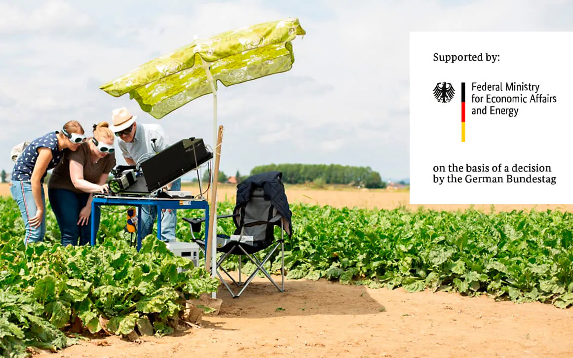 Data Fusion in Plant Phenotyping for Cercospora Detection in Sugarbeets