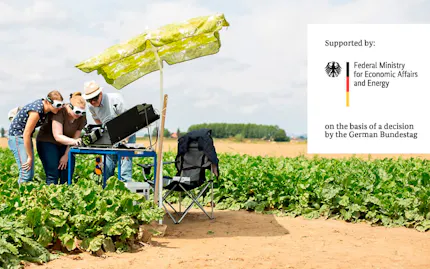 Data Fusion in Plant Phenotyping for Cercospora Detection in Sugarbeets