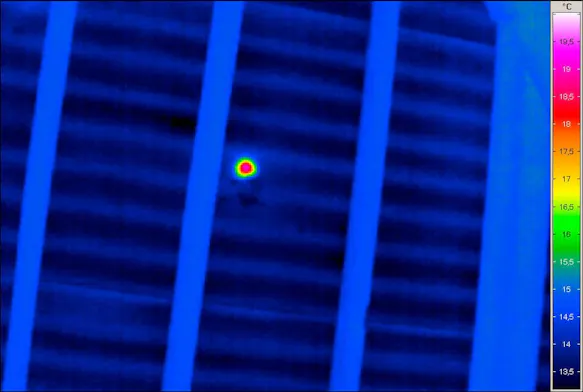 Study of bats; nesting