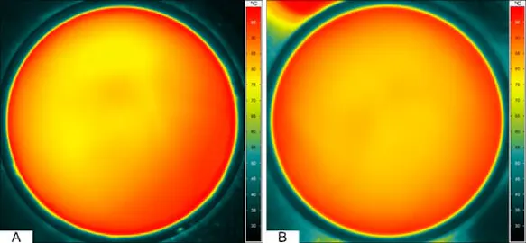Monitoring the Surface Temperature on Curing Epoxy Resin Samples