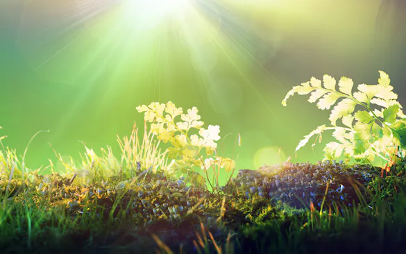  InfraTec Gas Analysis - Environmental Protection - Picture Credits: © RomoloTavani / iStock