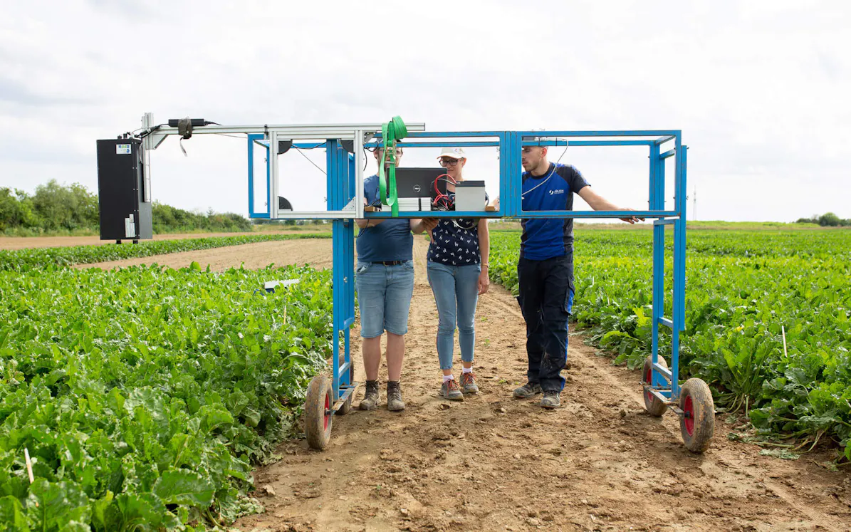 InfraTec: thermography in agriculture - plant research | Picture credits: ©  KWS Saat SE & Co. KGaA