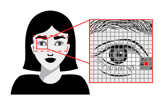 InfraTec THERMAL-CHECK - Thermography health measurement