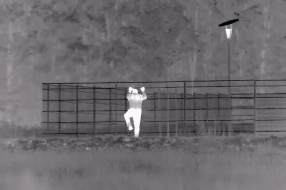 Observation of a housebreaker